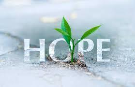 word hope over a plant growing in a crack in the sidewalk