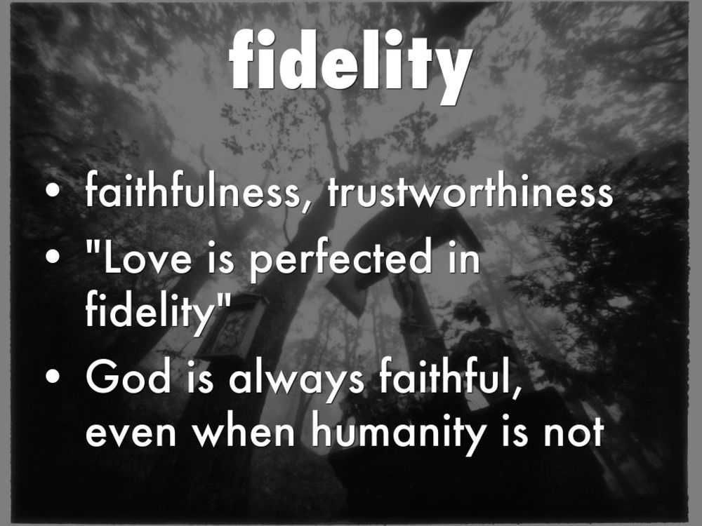Fidelity definition